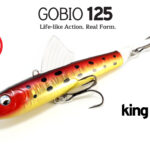 Gobio-125-main