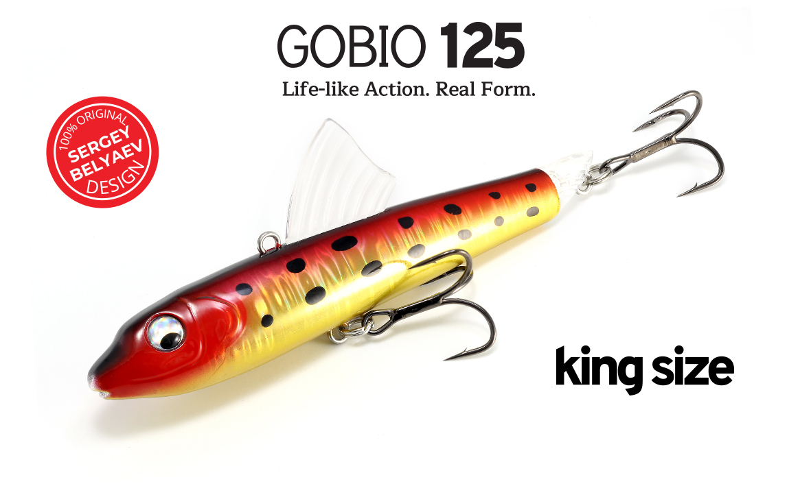 Gobio-125-main