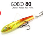 Gobio-80-main