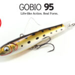 Gobio-95-main
