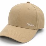 Cap15